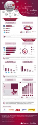 Social Media Schweiz Studie Infografik